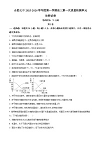 安徽省合肥市第七中学2025-2026学年高三上学期第一次质量检测生物试题（含解析）