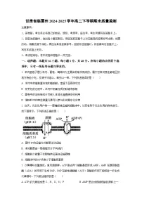 甘肃省临夏州2024-2025学年高二下学期期末质量监测生物试卷（学生版）