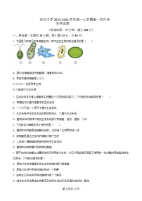 河北省定州中学2025-2026学年高一上学期第一次月考生物试题  （含答案）