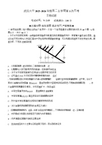 湖北省武汉市第六中学2025-2026学年高二上学期第1次月考生物试卷