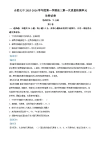 安徽省合肥市第七中学2025-2026学年高三上学期第一次质量检测试题 生物 Word版含解析