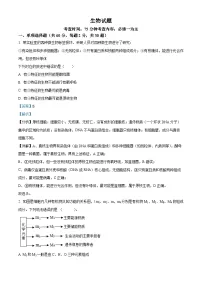 山西省山西大学附属中学校2025-2026学年高三上学期8月月考生物试题（解析版）