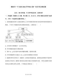 衡阳市一中2025-2026学年高三上学期第一次月考生物试卷含答案
