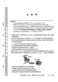 2026楚雄州高三上学期9月月考试题生物PDF版含解析