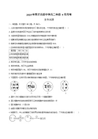 湖北省黄冈市黄梅县育才高级中学2025-2026学年高二上学期9月月考生物试卷