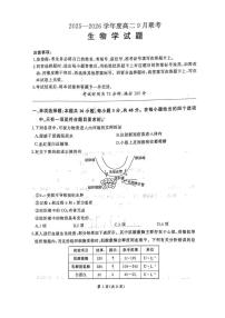 河南省百师联盟2025-2026学年高二上学期9月联考生物试题含答案解析