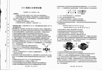 四川省金太阳2025届高三上学期12月联考-生物试卷（含答案）