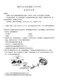 重庆市第八中学2026届高三9月高考适应性月考卷（一）生物试卷（含答案）