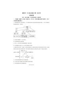 湖南省衡阳市第一中学2026届高三上学期第一次月考生物含答案