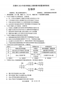 江苏省无锡市2025届高三上学期期末教学质量调研-生物试卷（含答案）