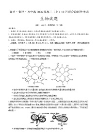 重庆育才中学、鲁能巴蜀中学、万州高级中学2026届高三上学期10月联合考试 生物 Word版含答案