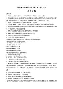 重庆市西南大学附属中学2025-2026学年高三上学期10月月考试题 生物 Word版无答案