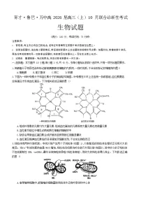 重庆育才中学、鲁能巴蜀中学、万州高级中学高2026届高三上学期10月联合考试生物试卷