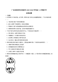 广东省深圳市多校联考2026届高三上学期开学质量检测试题 生物 Word版含答案