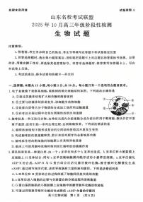 2025年山东名校联盟高三上学期10月生物试题及答案