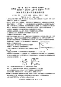 江西省新八校2025届高三上学期第一次联考-生物试卷（含答案）