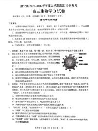 湖北省“新八校”协作体2025-2026学年度上学期高三10月月考生物试题（含答案）