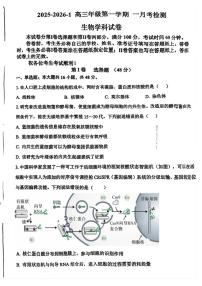 天津市滨海新区天津市第一中学滨海学校2025-2026学年高三上学期10月月考生物试题