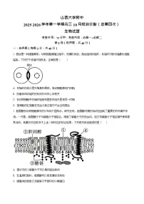 山西省山西大学附属中学校2025-2026学年高三上学期10月月考生物试卷