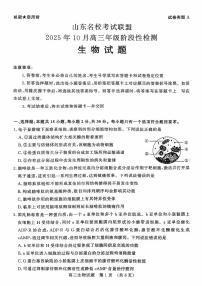山东名校考试联盟2025年10月高三年级阶段性检测生物试题（含答案）