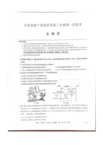 2026江西省新十校协作体高三上学期第一次联考试题生物PDF版含解析