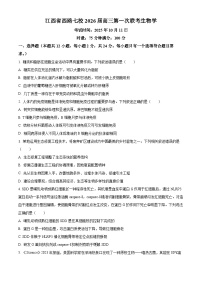 江西省吉安市七校联考2025-2026学年高三上学期10月月考生物试题（含答案）
