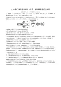 广西示范性高中2024-2025学年高二下学期4月期中考试生物试卷+答案