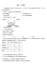 吉林省通化市梅河口市第五中学2025-2026学年高二上学期10月月考生物试卷（Word版附答案）
