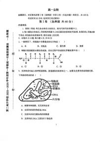 天津市和平区第二南开学校2025-2026学年高一上学期10月月考生物试题