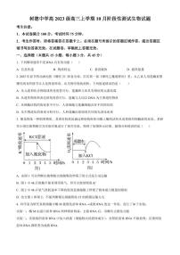 四川省成都市树德中学2026届高三上学期10月月考生物试题+答案