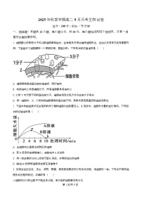 湖南省娄底市第一中学2025-2026学年高二上学期9月月考生物试卷（Word版附解析）