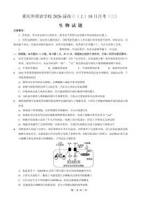 重庆外国语学校高2026届高三上学期10月月考卷（三）生物（PDF版，含答案）