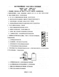江苏省常州市金坛区第一中学2025-2026学年高三上学期10月月考生物试题