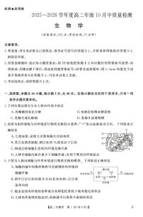 河南省多校2025-2026学年高二上学期10月月考生物试题
