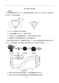 湖南省长沙市岳麓实验中学2024-2025学年高二下学期7月期末考试生物试卷