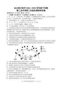 辽宁省沈阳市东北育才学校2024-2025学年高二下学期第二次月考生物试卷