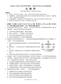 广西河池市2024-2025学年高二下学期7月期末学业水平质量检测生物试卷（含答案）