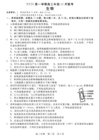 河北省2025-2026学年高三上学期10月联考生物试题(含答案)