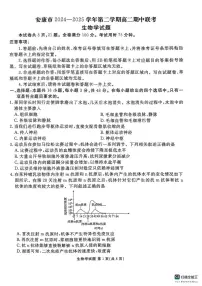 陕西省安康市2024-2025学年高二下学期期中联考生物试卷（有解析）