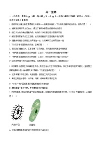 吉林省通化市梅河口市第五中学2025-2026学年高一上学期10月月考生物试卷