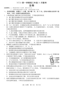 河北省NT20联考 2025-2026学年高三上学期10月月考生物试卷