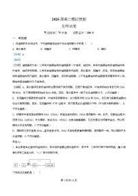 四川省仁寿第一中学校南校区2026届高三上学期模拟预测生物试题（Word版附解析）