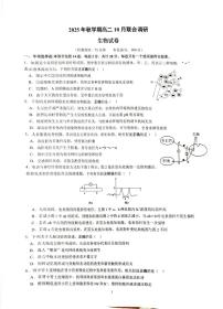 江苏省常州市金坛区常州市金坛区第一中学2025-2026学年高二上学期10月月考生物试题