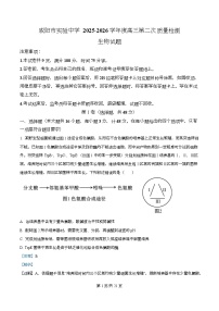 陕西省咸阳市实验中学2026届高三上学期第二次质量检测生物试题（含答案）