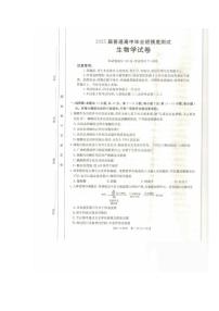 2024年广西金太阳高三上学期10月考试生物试题及答案