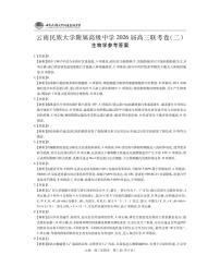 云南民族大学附属高级中学2026届高三上学期联考卷（二）生物 PDF版含解析