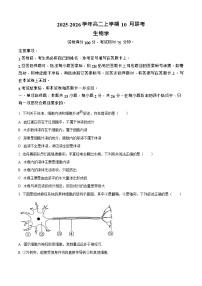 河北省保定市示范高中2025-2026学年高二上学期10月月考生物试卷