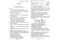 湖南省名校联考2026届高三上学期10月月考生物试卷