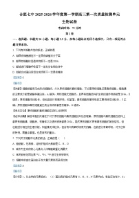 精品解析：安徽省合肥市第七中学2025-2026学年高三上学期第一次质量检测生物试题（解析版）