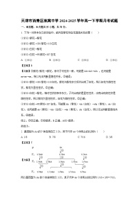 【生物】天津市西青区张窝中学2024-2025学年高一下学期月考试题（学生版+解析版）
